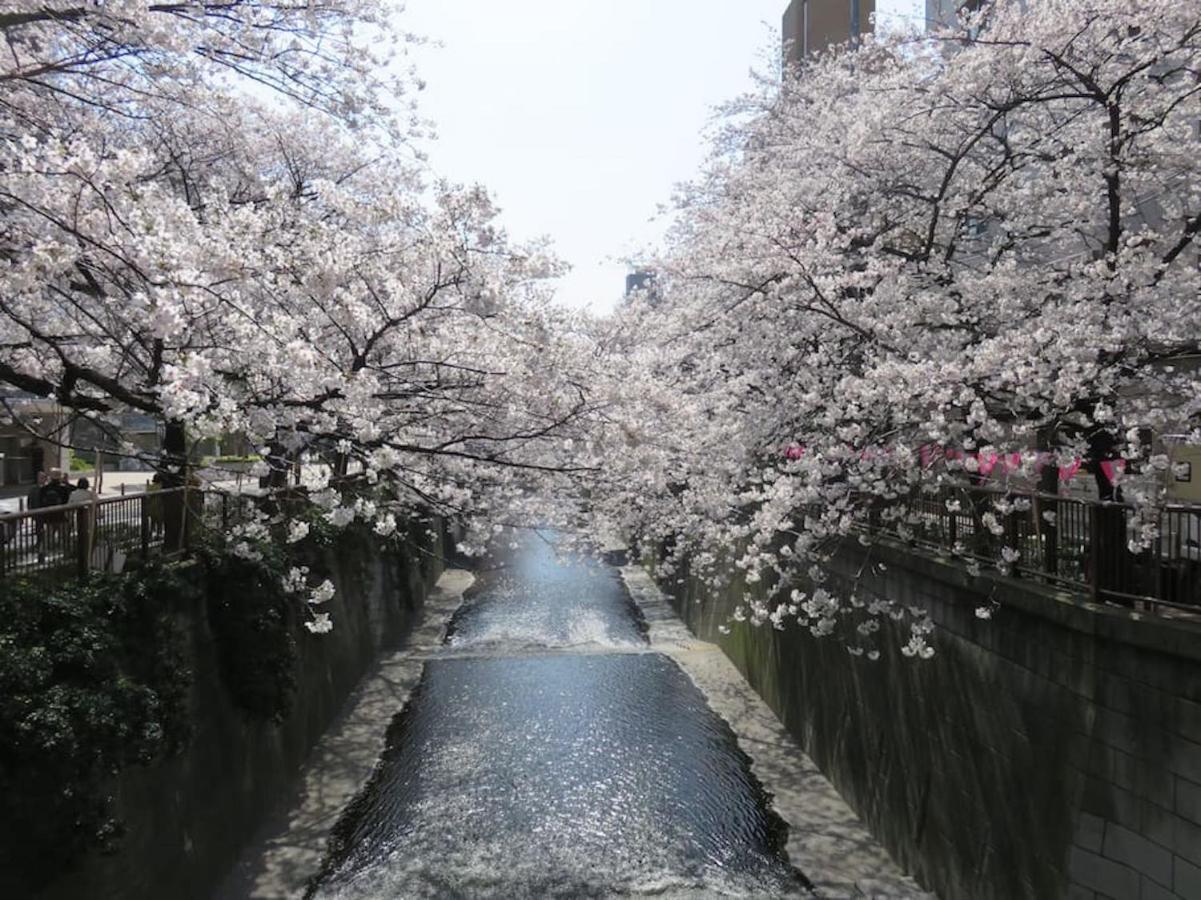 Apartamento 10 Minutes Direct To Shibuya Crossing! Heart Of Tokyo! Mishuku *